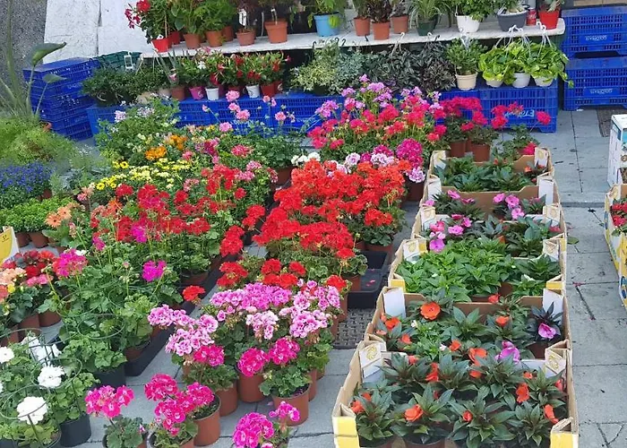 Hotel Gran Paraiso 3*