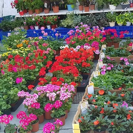 Otel Gran Paraiso 3*